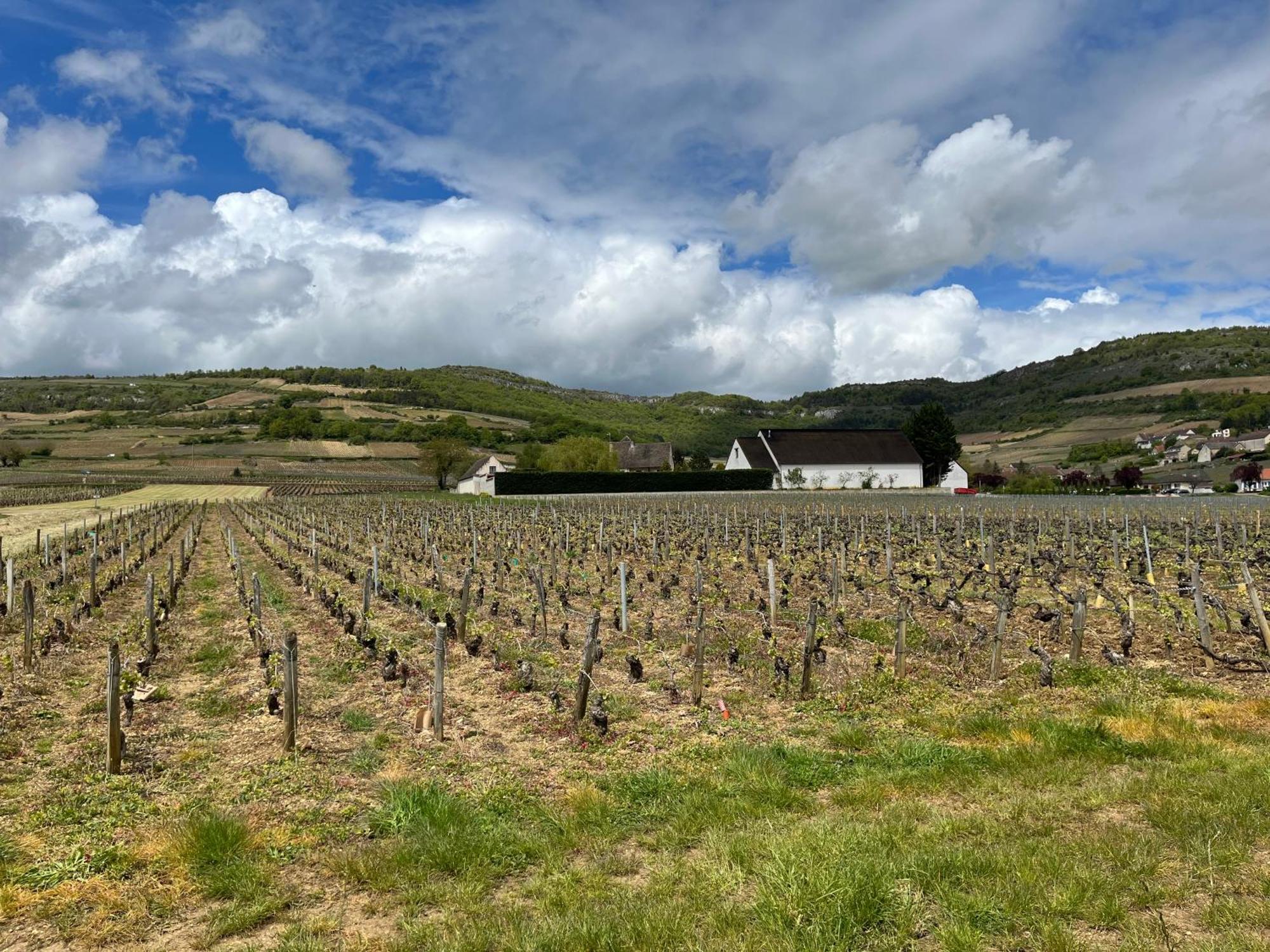 De Santenay 3* Santenay (Cote-d'Or)